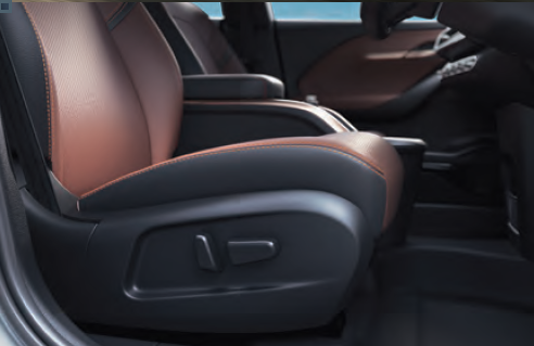 VinFast VF6 Power Seats